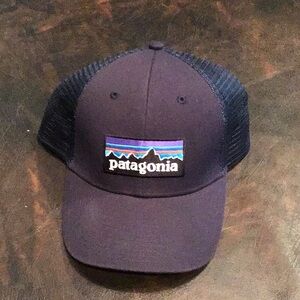 Patagonia Navy Blue Mesh Logo Cap